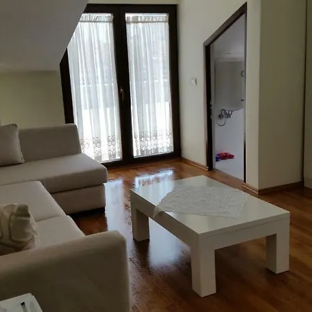 Attic City Center Appartement Pogradec